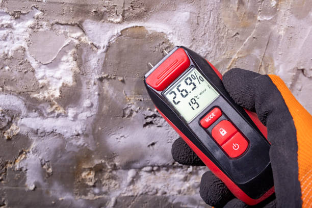 Professional Mold Remediation in Steele, AL